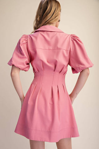 Pleated Balloon Sleeve Waist Mini Fit & Flare Dress