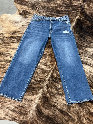 Ava Curvy High Rise Straight Leg Denim Jean
