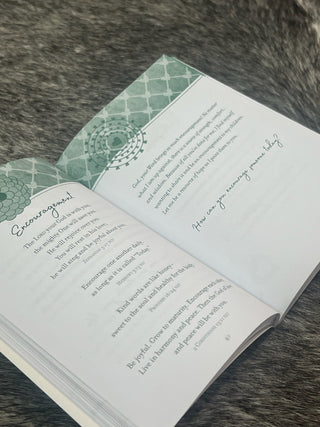 Prayers & Promises for Mothers (Softcover Prayer Devotional)