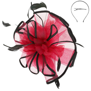 Floral Feathered Contrast Trim Mesh Fascinator