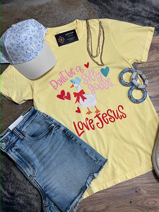 Don’t Be a Silly Goose Love Jesus Comfort Colors Tee
