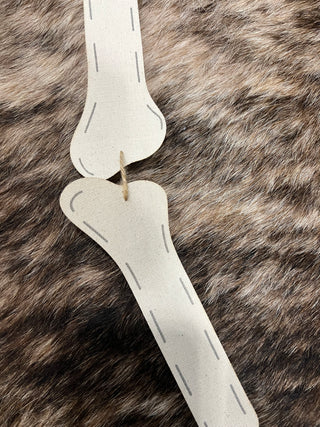 Girl Skeleton Door Hanger