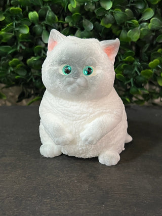 Squishy Pets — Choose Your Breed
