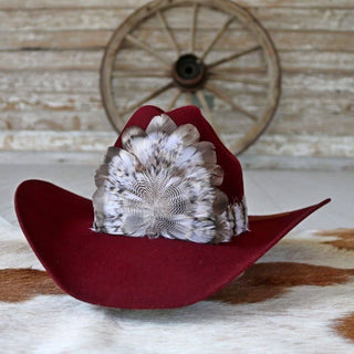 Osprey western feather hat band, photo 7