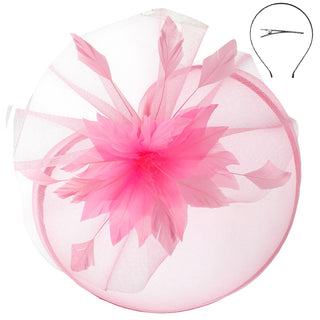 Veiled Floral & Feather Mesh Fascinator w/ Headband & Clip