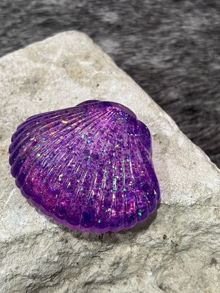 Seashell Squishy