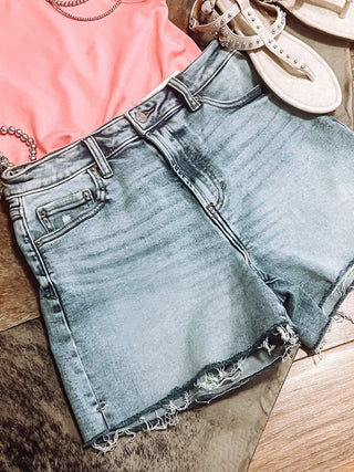 90's Mid Rise Dad Shorts - Jayden Layne