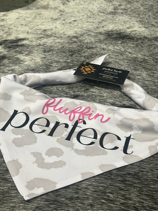Dog Bandanas