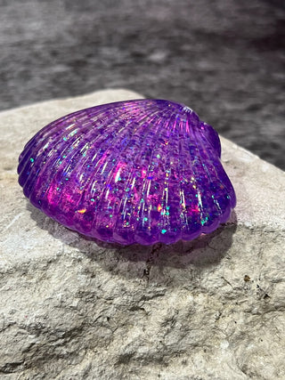 Seashell Squishy