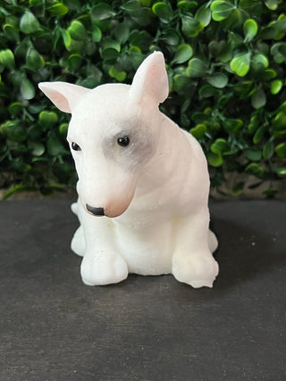 Squishy Pets — Choose Your Breed