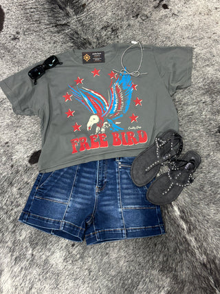 Free Bird 22 Vintage Relaxed Crop Tee