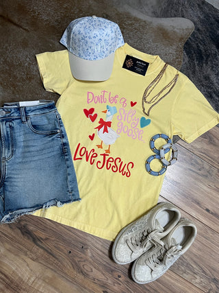 Don’t Be a Silly Goose Love Jesus Comfort Colors Tee