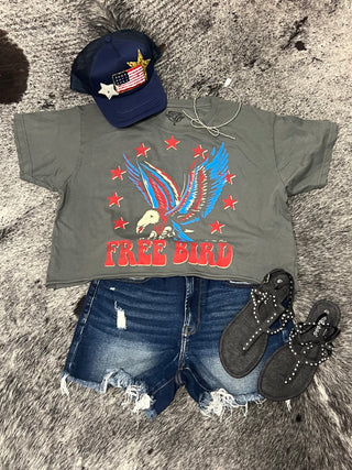 Free Bird 22 Vintage Relaxed Crop Tee