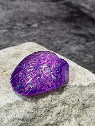 Seashell Squishy
