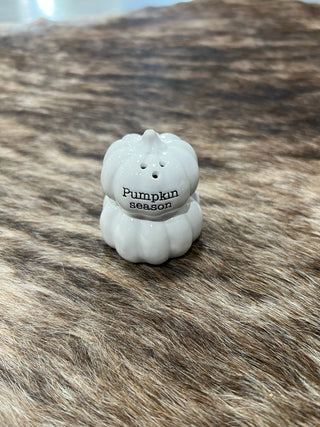 Thanksgiving Salt & Pepper Shaker - Assorted