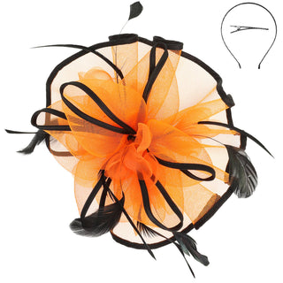 Floral Feathered Contrast Trim Mesh Fascinator