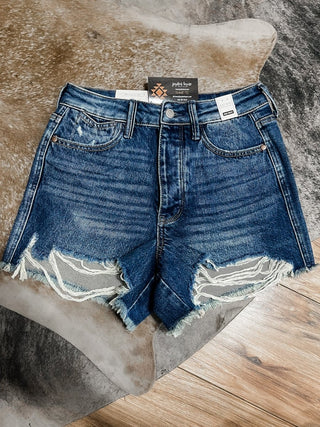 Judy Blue High Waist Rigid Magic Cut Off Shorts - Jayden Layne