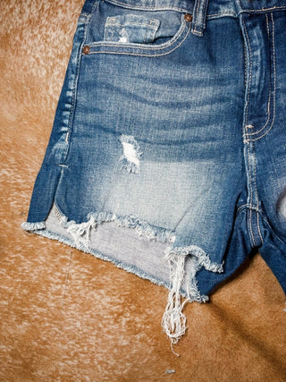 Raw Frayed Hem Ripped Denim Shorts | Plus